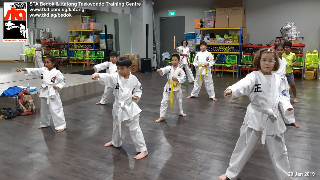 Bedok Katong Kinex Mall Paya Lebar Aquarius Yishun Orchard Central Marine Parade Singapore Taekwondo Academy STA Adrian Huan
